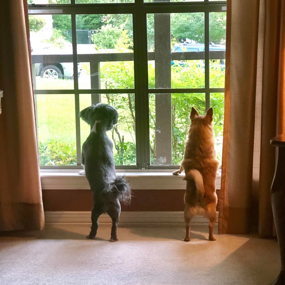 Meet your Posher, Kim